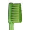 BROSSE A DENTS GOOD REGULAR SOFT TEPE